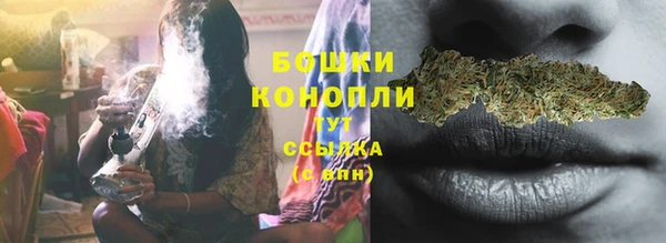 мдпв Няндома