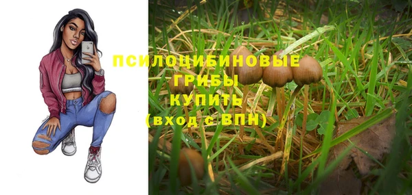 мдпв Няндома