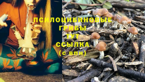мдпв Няндома