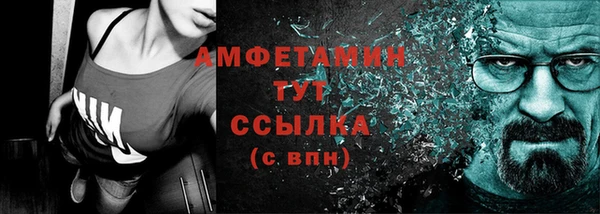 мдпв Няндома