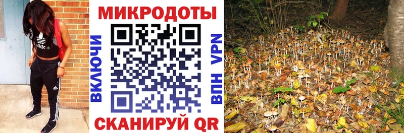 купить наркотик  Ряжск  Галлюциногенные грибы GOLDEN TEACHER 